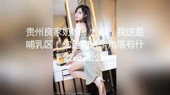 贵州良家奶妈，大叔，我这是哺乳区，你走到这个角落有什么企图么