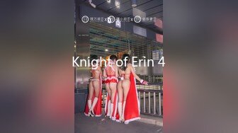 Knight of Erin 4