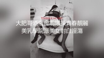 大肥哥酒店窗前爆操青春靚麗美乳學院派美女對白淫蕩