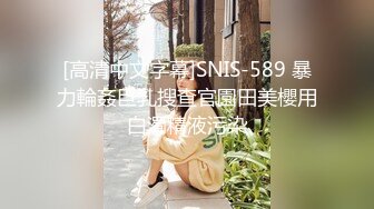 [高清中文字幕]SNIS-589 暴力輪姦巨乳搜查官園田美櫻用白濁精液污染